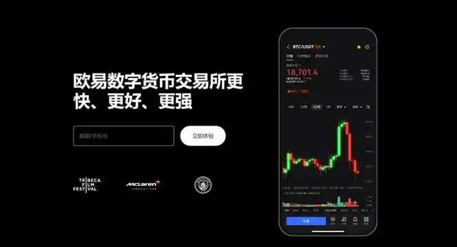 下载欧易OKX官网平台展示图
